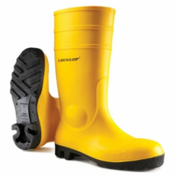 Gumowce Olejoodporne