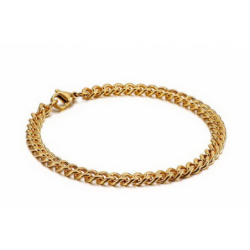 Złota Pancerka Stal...